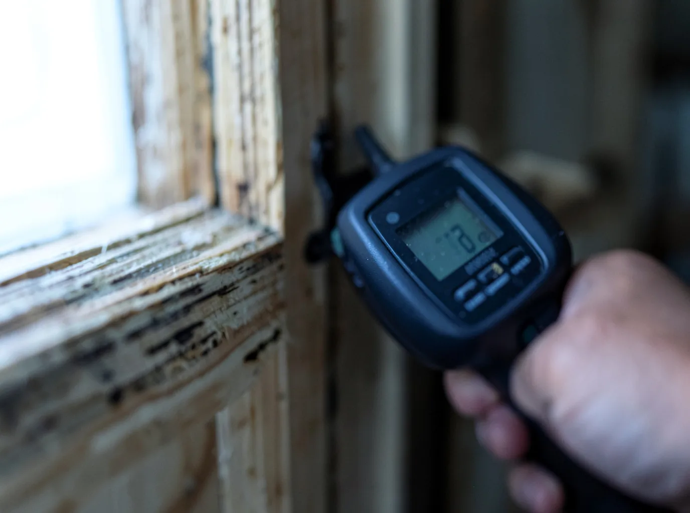 Moisture Inspection And Documentation in Eagle Lake, TX